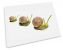 Snails