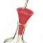 Click to enlarge Cuisipro Three-in-One Funnel