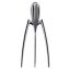 Alessi Juicy Salif Citrus Reamer