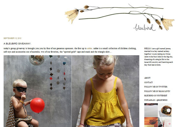 Bleubird Vintage The home page of Bleubird Vintage's food blog