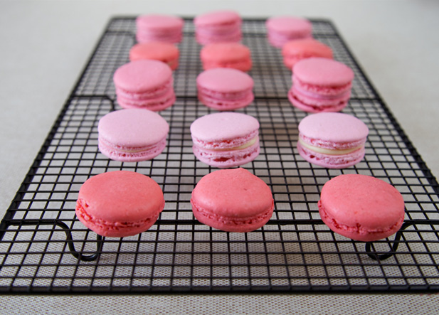 Macarons cool best on a wire rack Macarons cooling on a wire rack