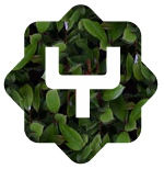 yc_green