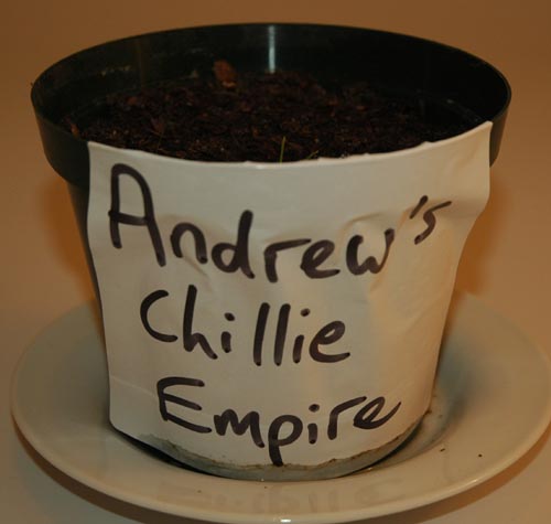 andrew